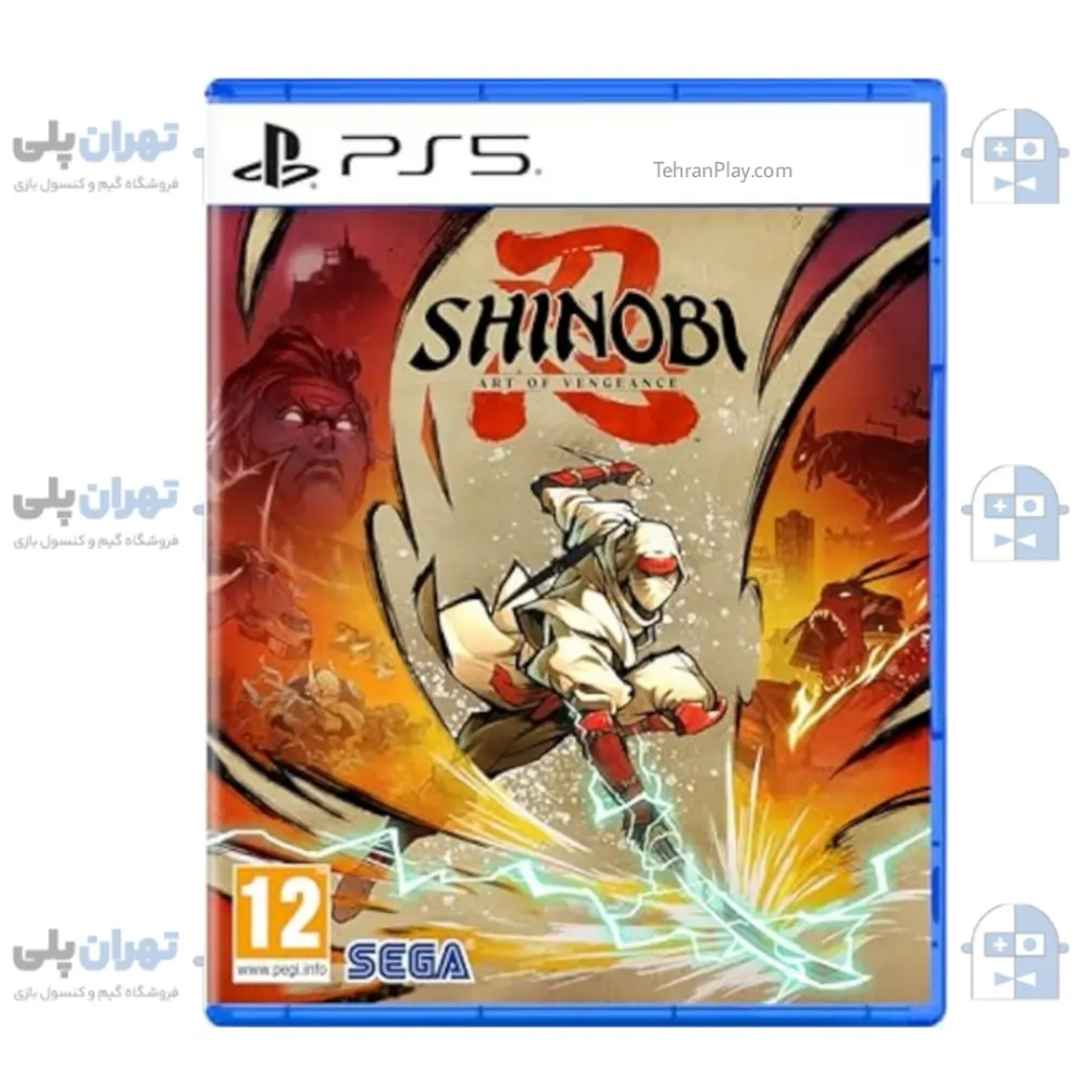 قاب بازی Shinobi Art of Vengeance