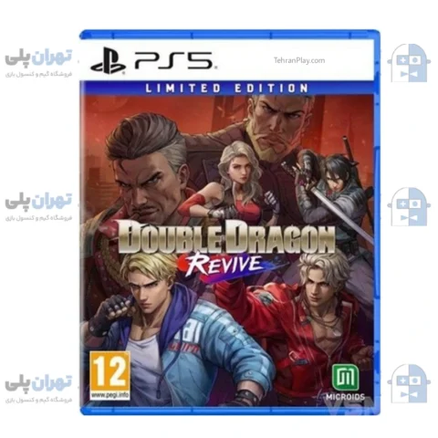 قاب بازی Double Dragon Revive